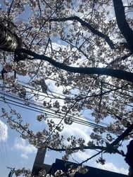 조금씩...