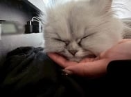 M녀 휴일🐱