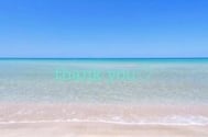 감사합니다🌸