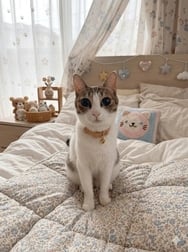 안녕하세요!