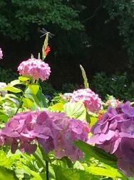 June💠🌿‬ ܸ