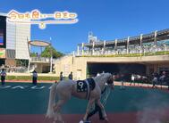 힐링🐴🤍