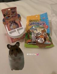감사합니다🐹❤️