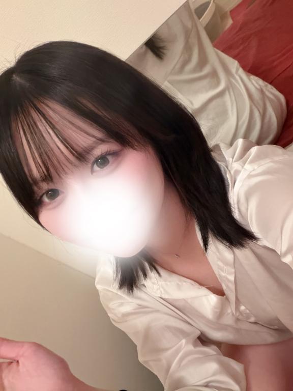 출근했습니다 🕊