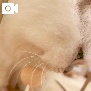 모후 모후 ♡