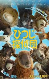 메~ 탐정🐏⸒⸒
