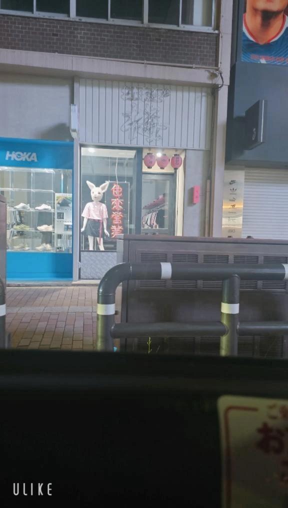 색연영업