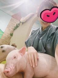 힐링
