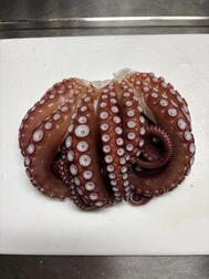 🐙
