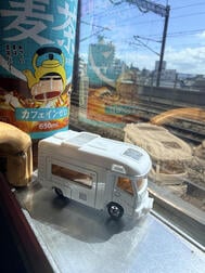 진하라에