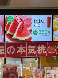 여름 🍉