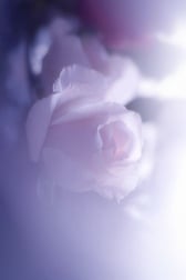 언제든지... 우후훗♡