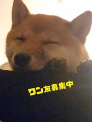 20일 고탄다의 N씨에게