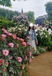 예약
