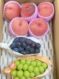 안녕하세요♪(๑ᴖ◡ᴖ๑)♪