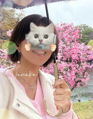 가능옵션, 확인해주세요♡