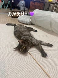 귀가했습니다•*¨*•.¸♬︎