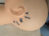 매일 미녀로 둘러싸여 향상 마음에 넘치고 있다