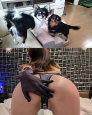 오늘부터 여성휴가에 들어갑니다