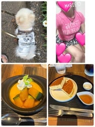안녕하세요
