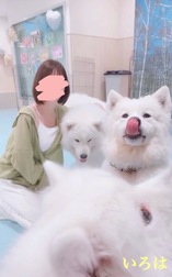 모후 모후 파라다이스