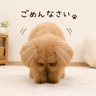 오늘...휴가를 받았습니다...
