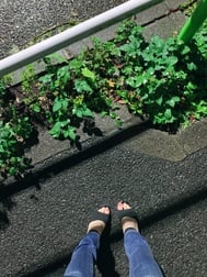 달빛