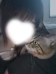 어느 것이 좋아?