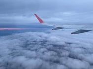 지금 ✈️
