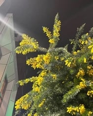 봄이야~