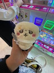 [제제]from:부류펜치이씨