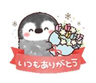 감사합니다❤️