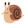 20260811_215129_7ae3c64ede9e395fdd6b7319