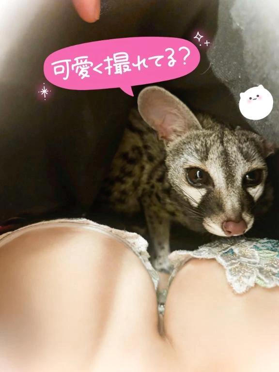 아직 있다.