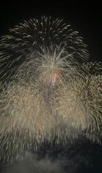 불꽃 🎇