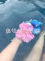감사 감사 ◝*ෆ