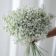 사과