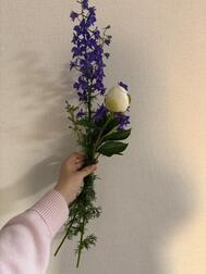 고귀💐
