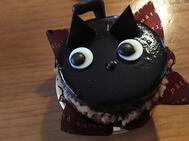 [제목]from:페스티벌 편집부씨