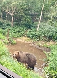 베어 마운틴