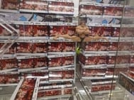 강한 남자💪