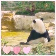 에로틱 가게